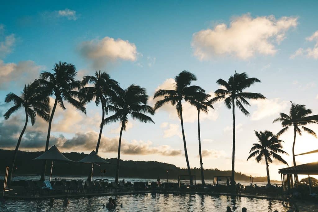 Turtle Bay pool with palm trees at sunset