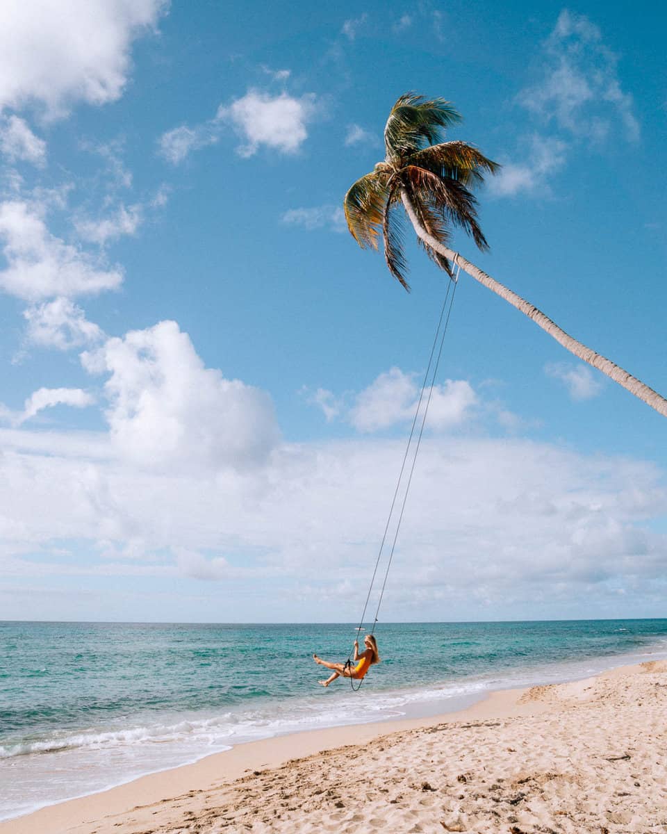 woman swinging from palm tree swing over the carribean