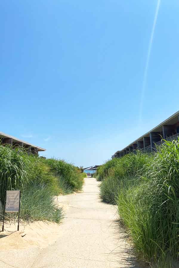 path between marram montauk rooms with sand and beach grass
