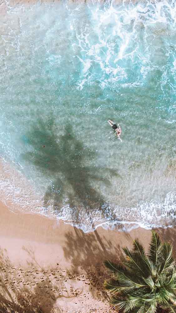 man swimming in the ocean in rincon puerto rico next to a palm tree