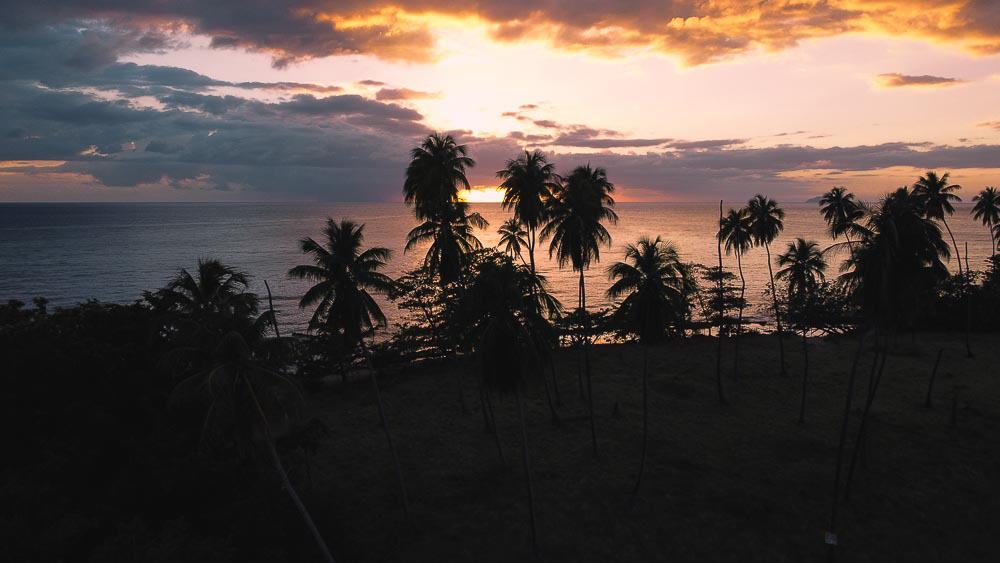 sun setting with palm trees and ocean in rincon puerto rico - best places to watch the sunset in rincon